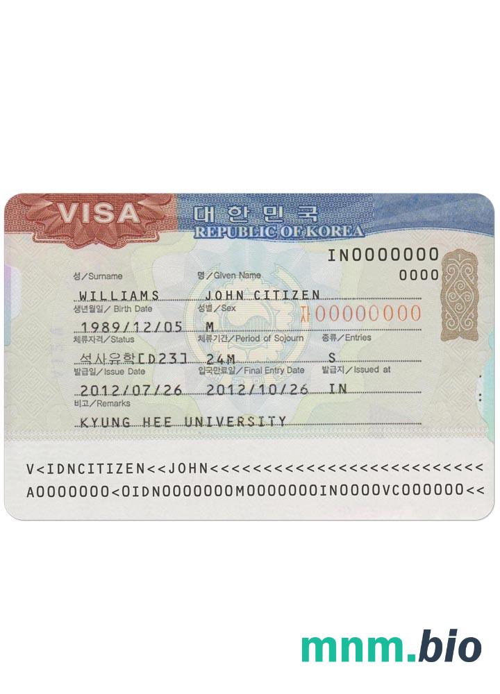 Korea travel visa przykład w PSD